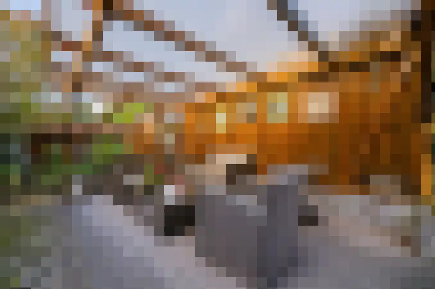 Granietsteen 40 Houten thumbnail 49