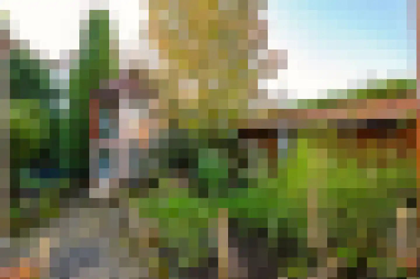 Granietsteen 40 Houten thumbnail 50