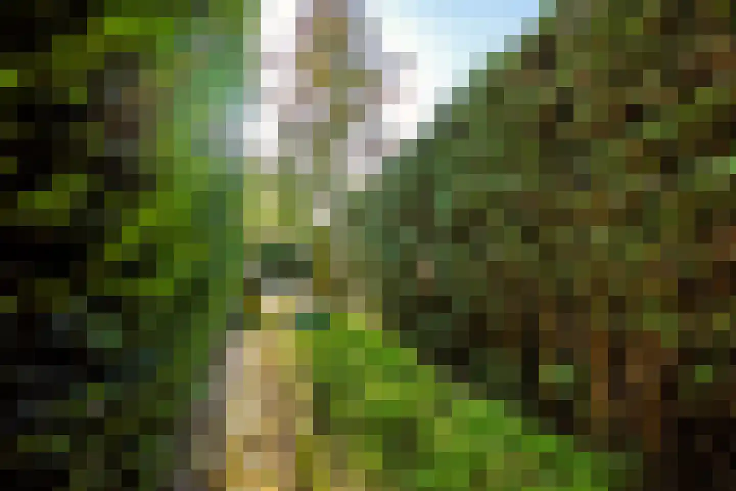 Granietsteen 40 Houten thumbnail 51