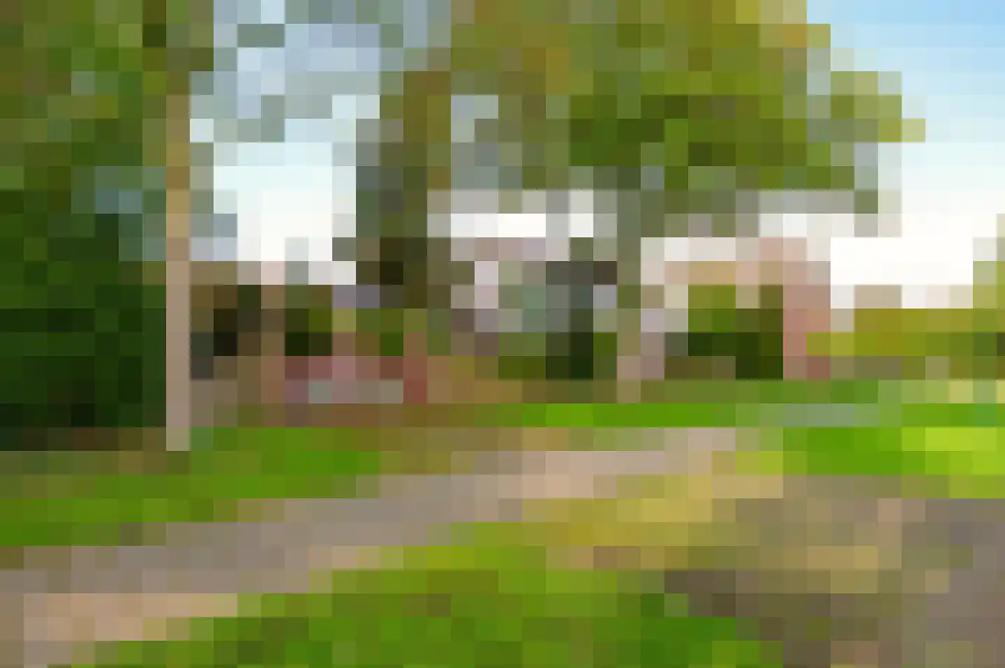 Granietsteen 40 Houten thumbnail 57