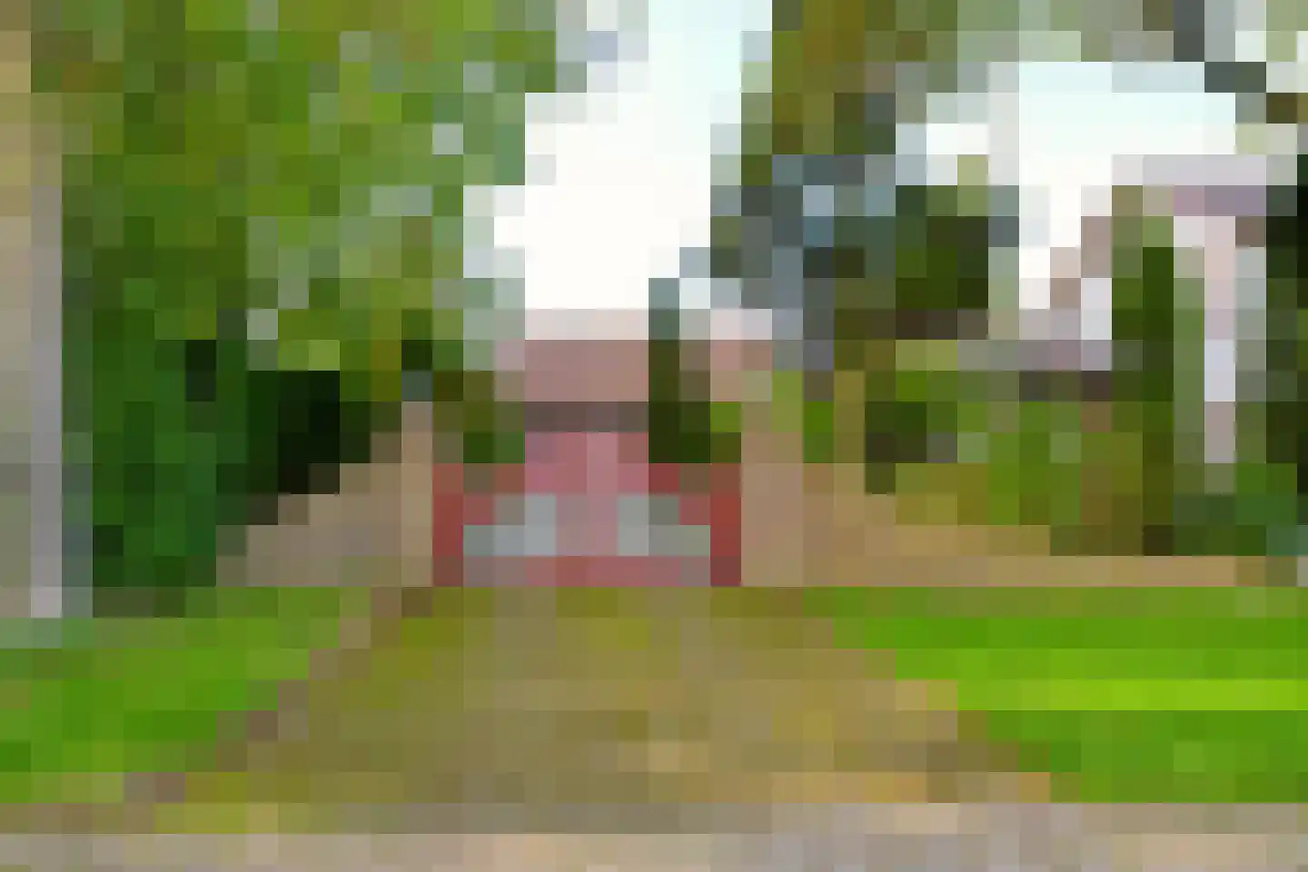 Granietsteen 40 Houten thumbnail 58