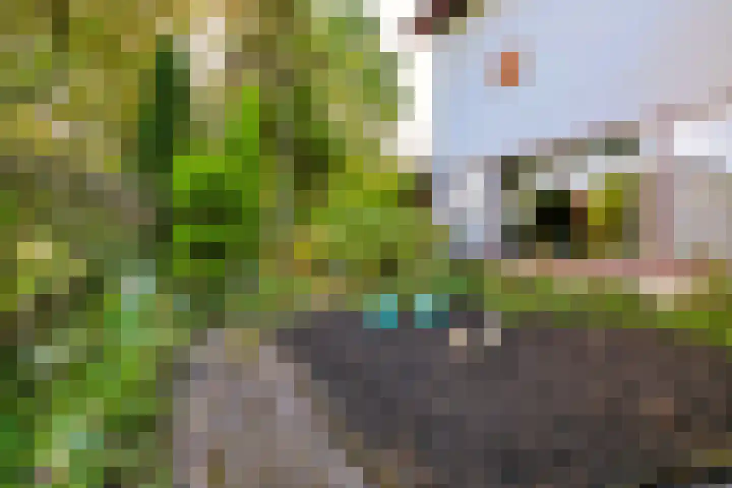 Granietsteen 40 Houten thumbnail 61
