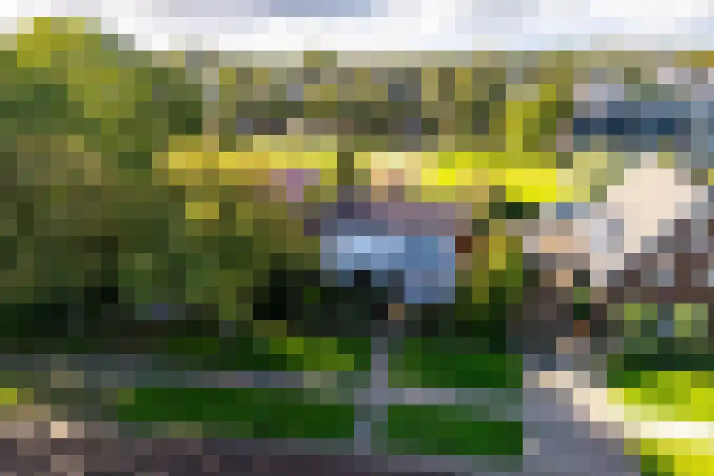 Granietsteen 40 Houten thumbnail 63
