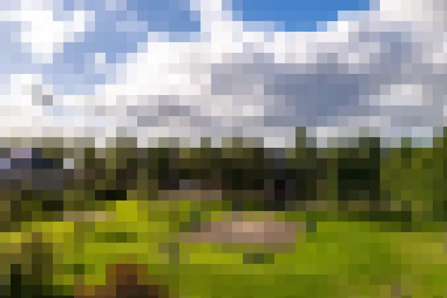 Granietsteen 40 Houten thumbnail 64
