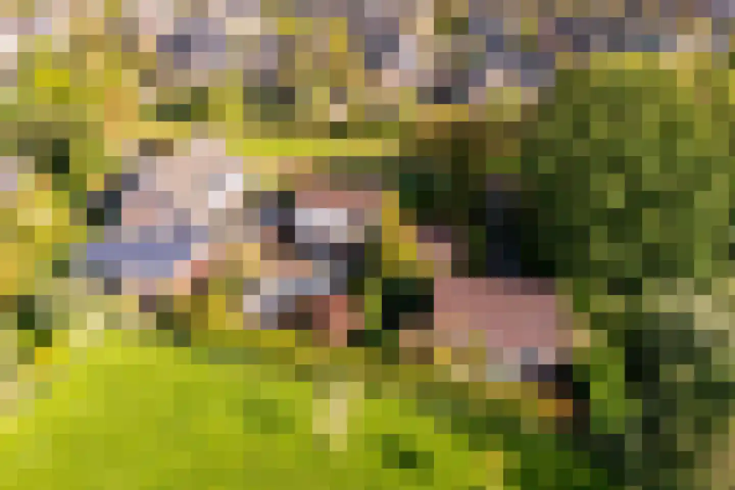 Granietsteen 40 Houten thumbnail 67
