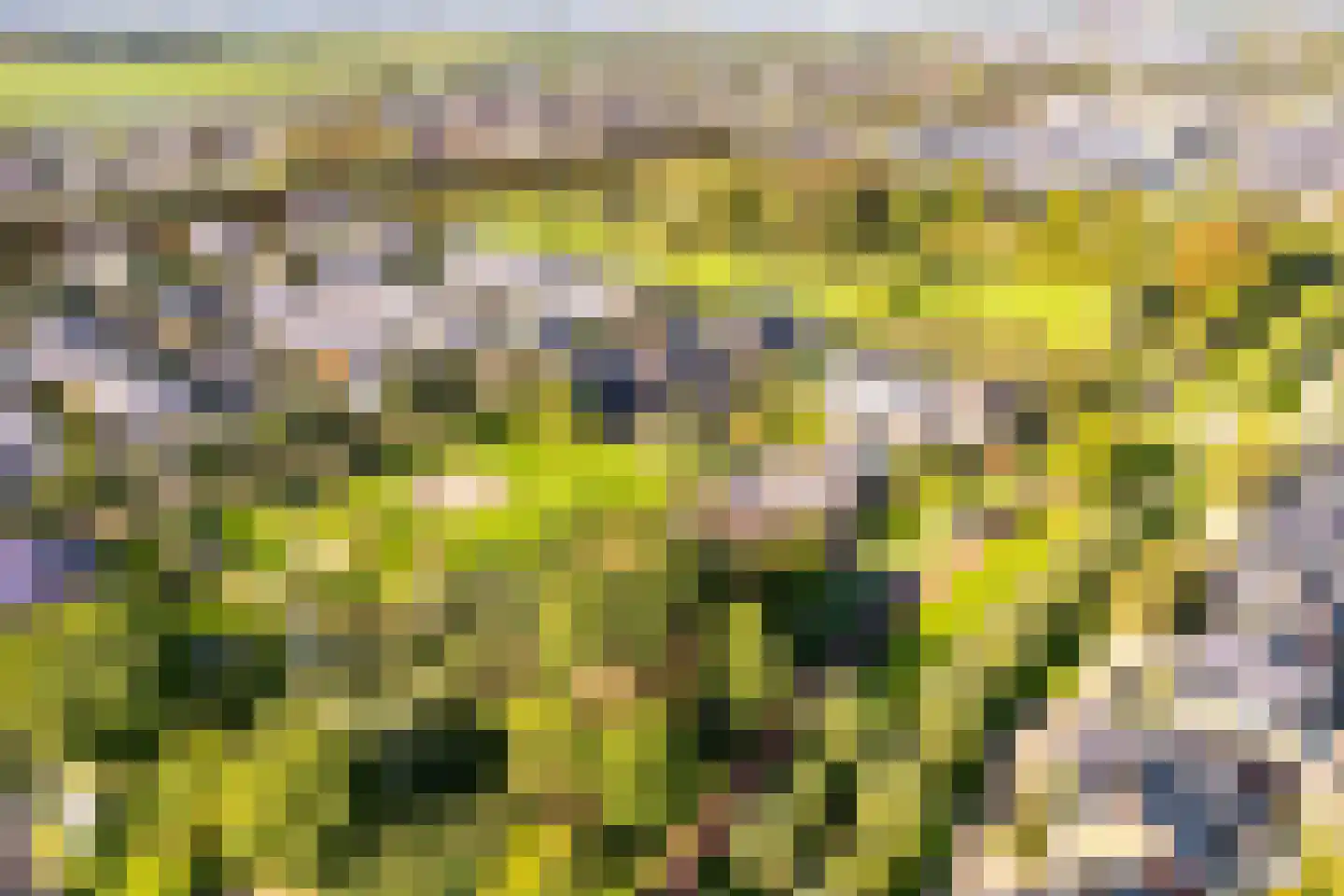 Granietsteen 40 Houten thumbnail 69