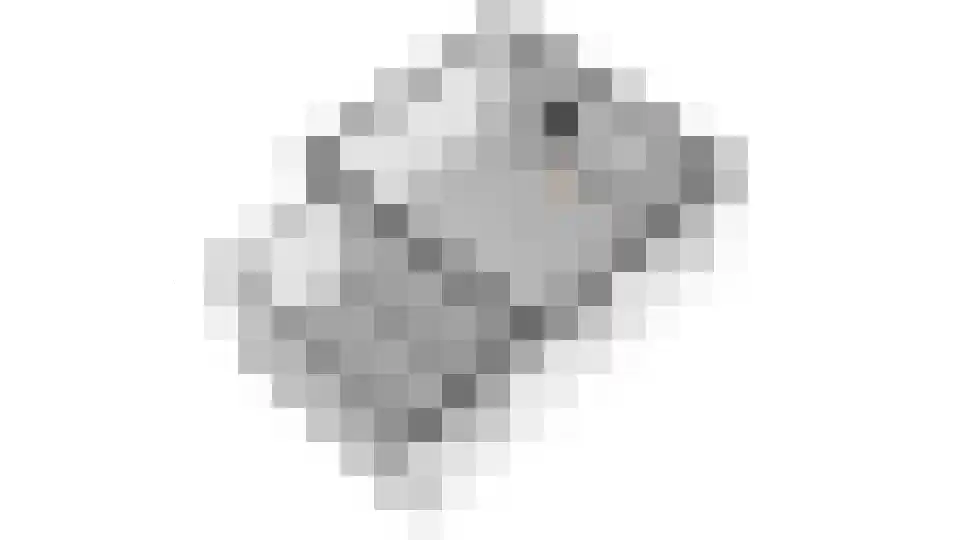 Granietsteen 40 Houten thumbnail 83