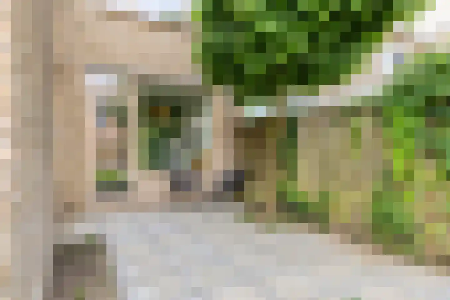 Granietstraat 63 Oss thumbnail 25