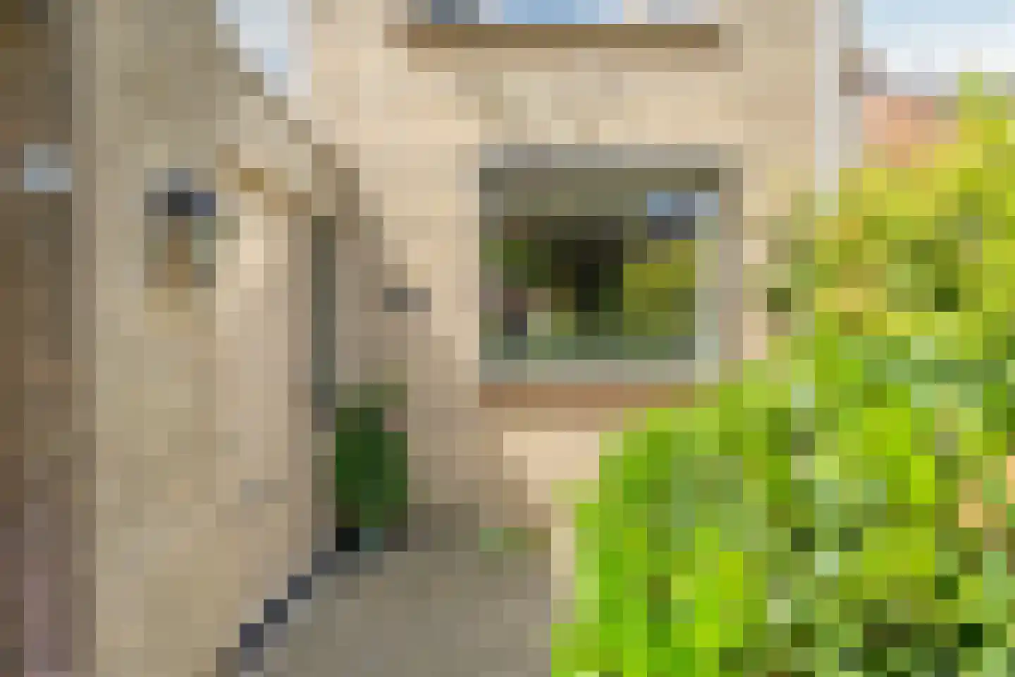Granietstraat 63 Oss thumbnail 26