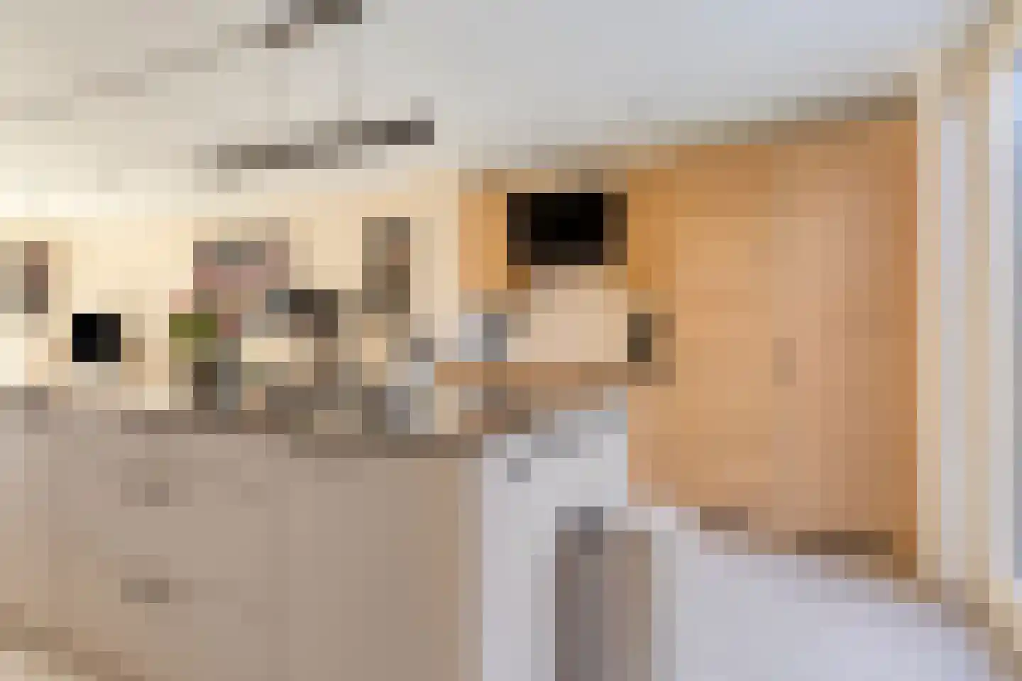 Granny Smithhof 10 Zoetermeer thumbnail 10