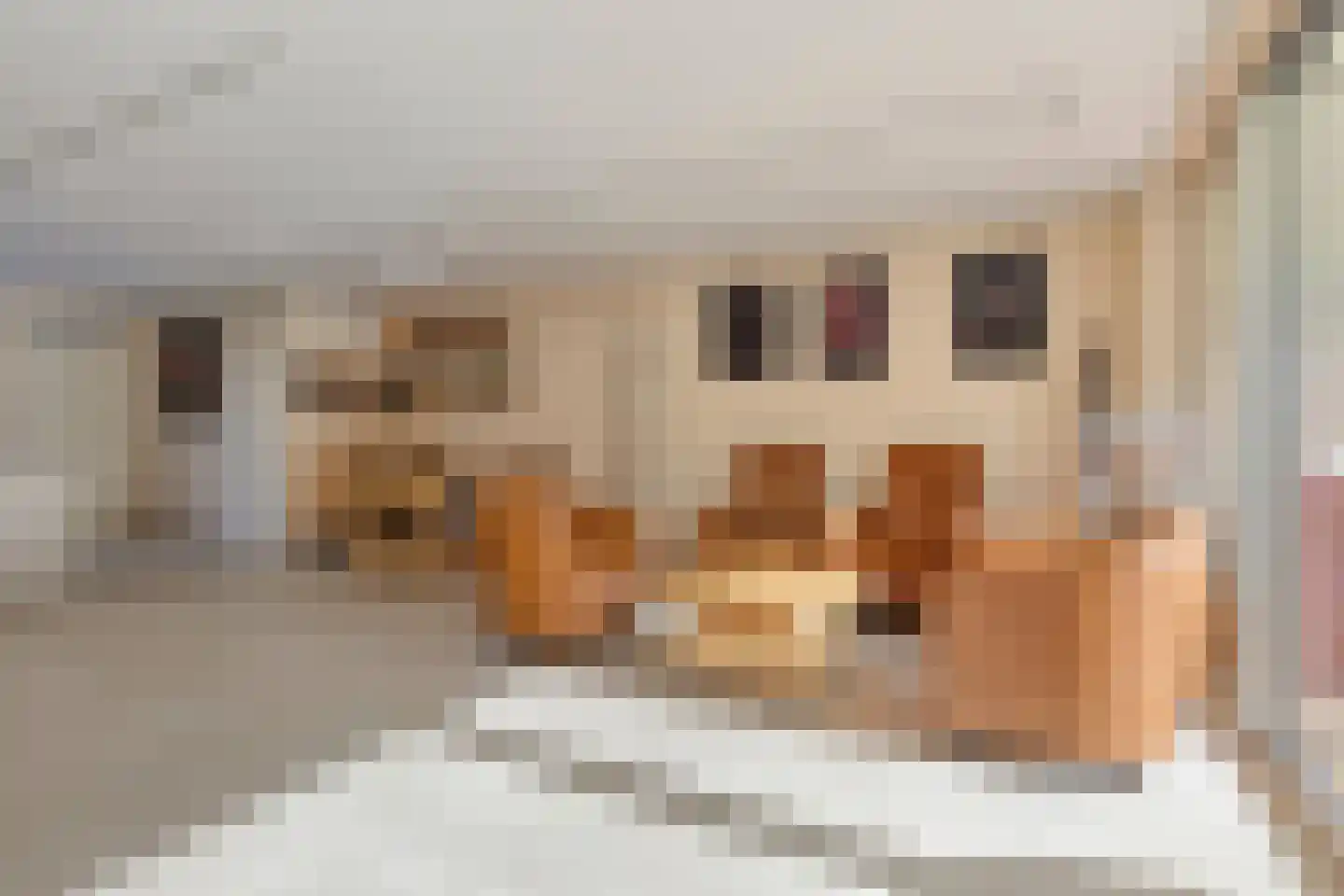 Granny Smithhof 10 Zoetermeer thumbnail 17