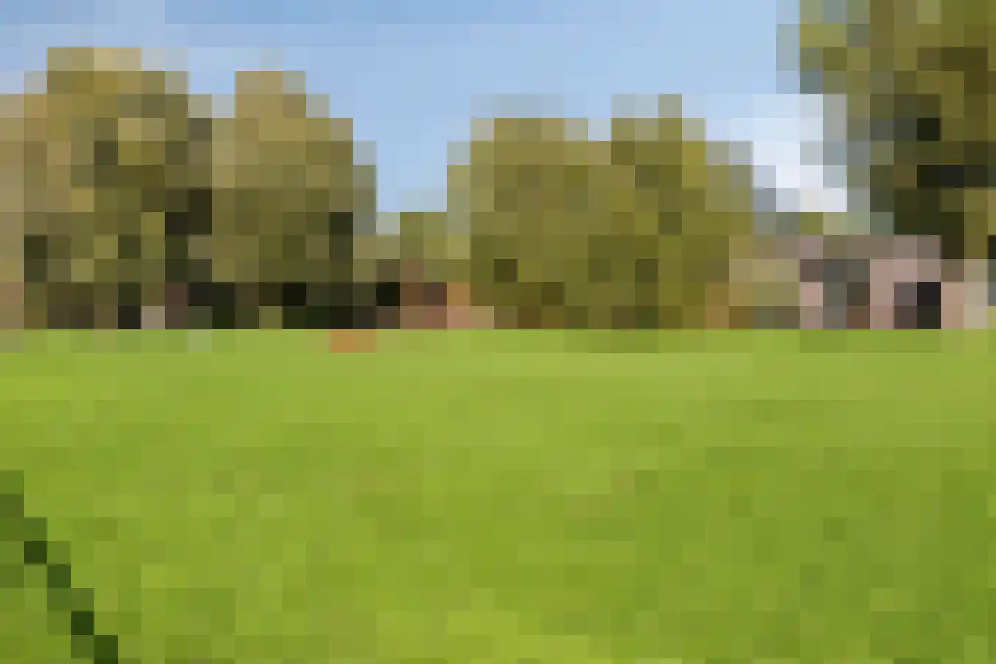 Granny Smithhof 10 Zoetermeer thumbnail 41