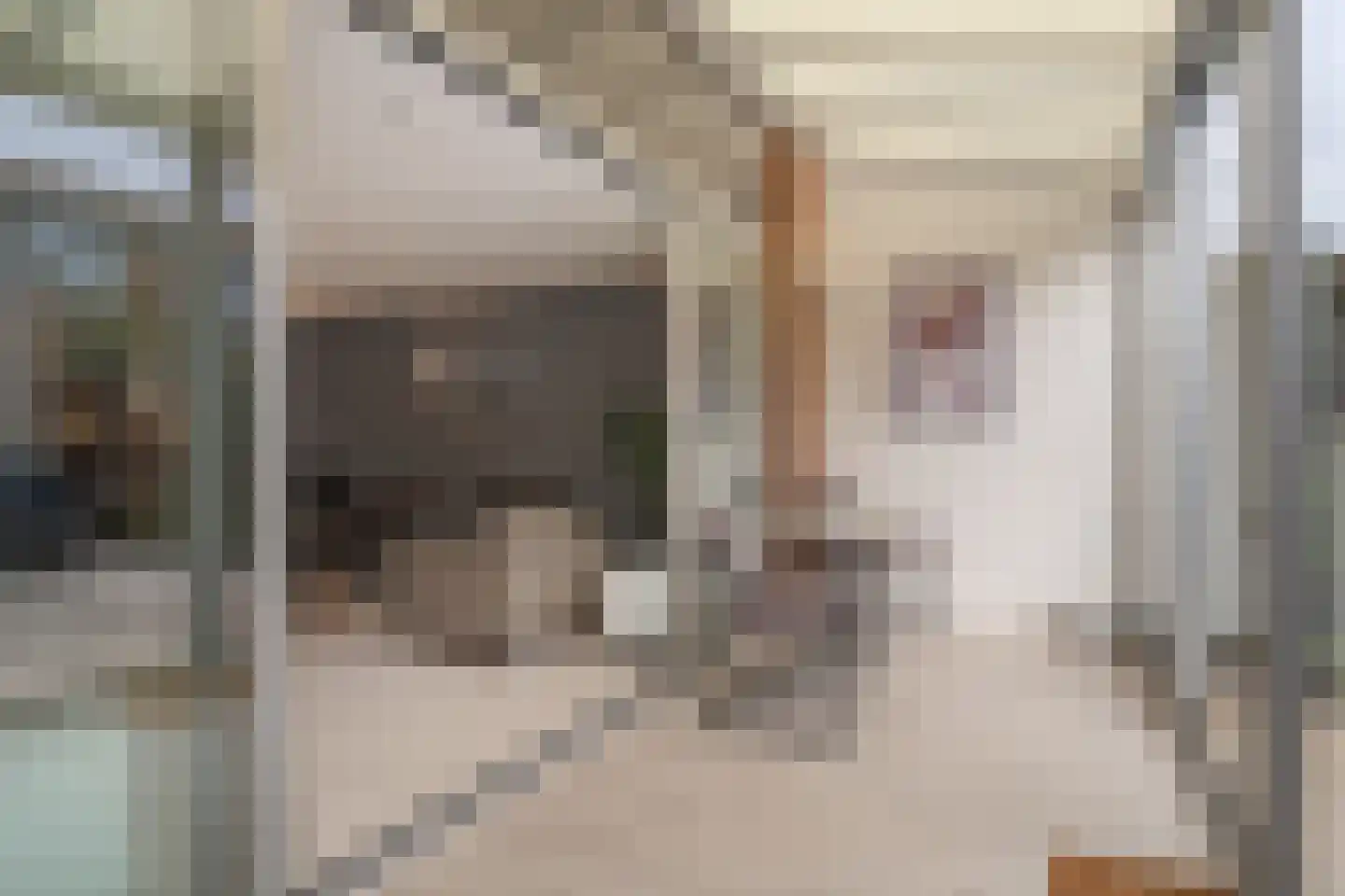 Granny Smithhof 16 Zoetermeer thumbnail 19