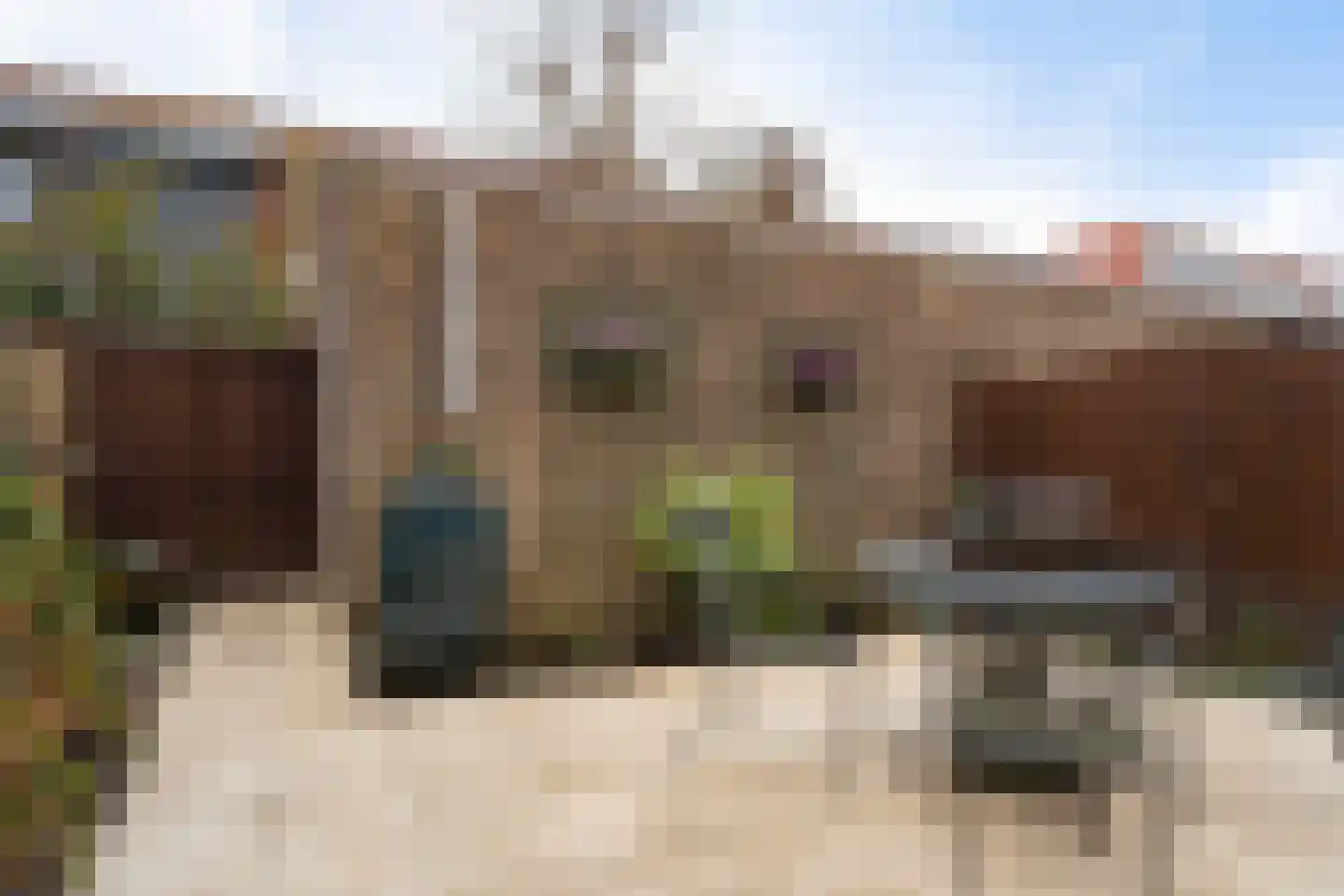 Granny Smithhof 16 Zoetermeer thumbnail 27