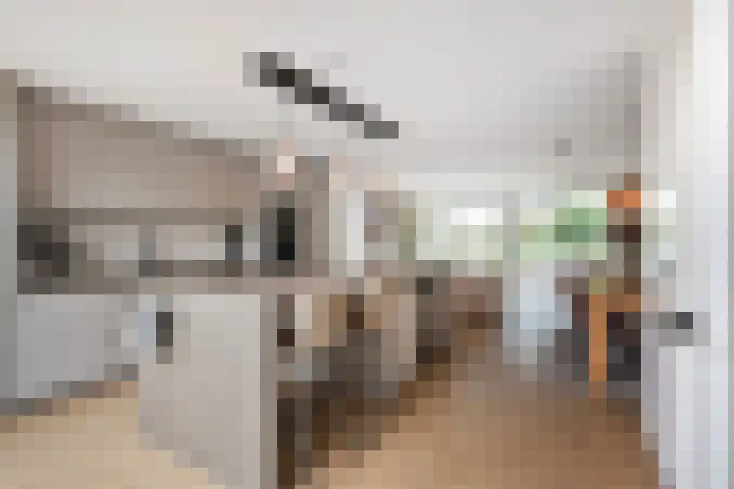 Granny Smithhof 2 Zoetermeer thumbnail 12