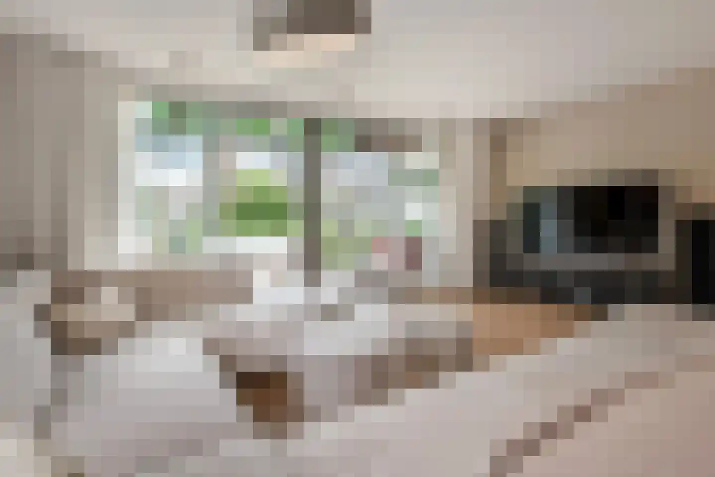 Granny Smithhof 2 Zoetermeer thumbnail 14