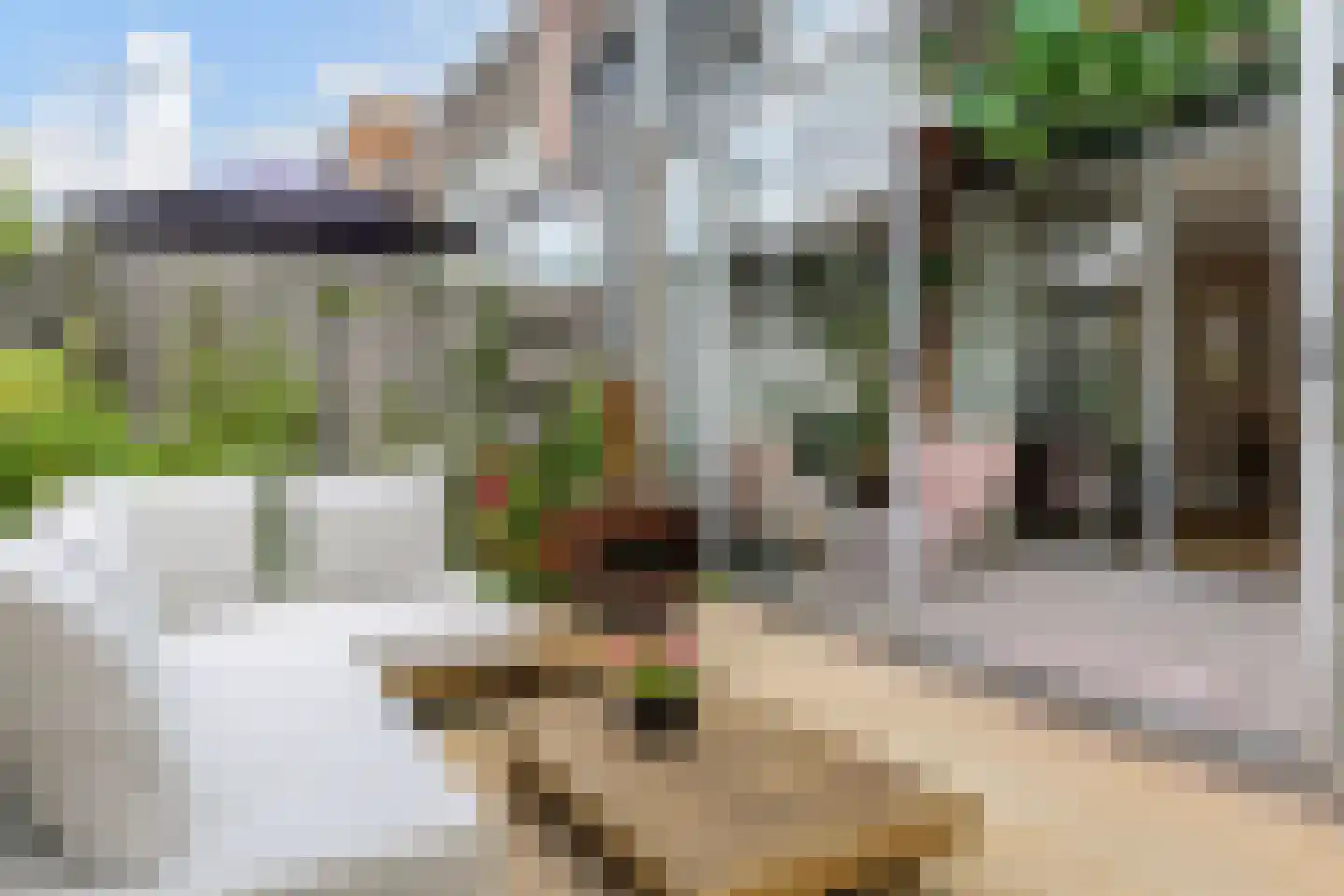 Granny Smithhof 2 Zoetermeer thumbnail 22