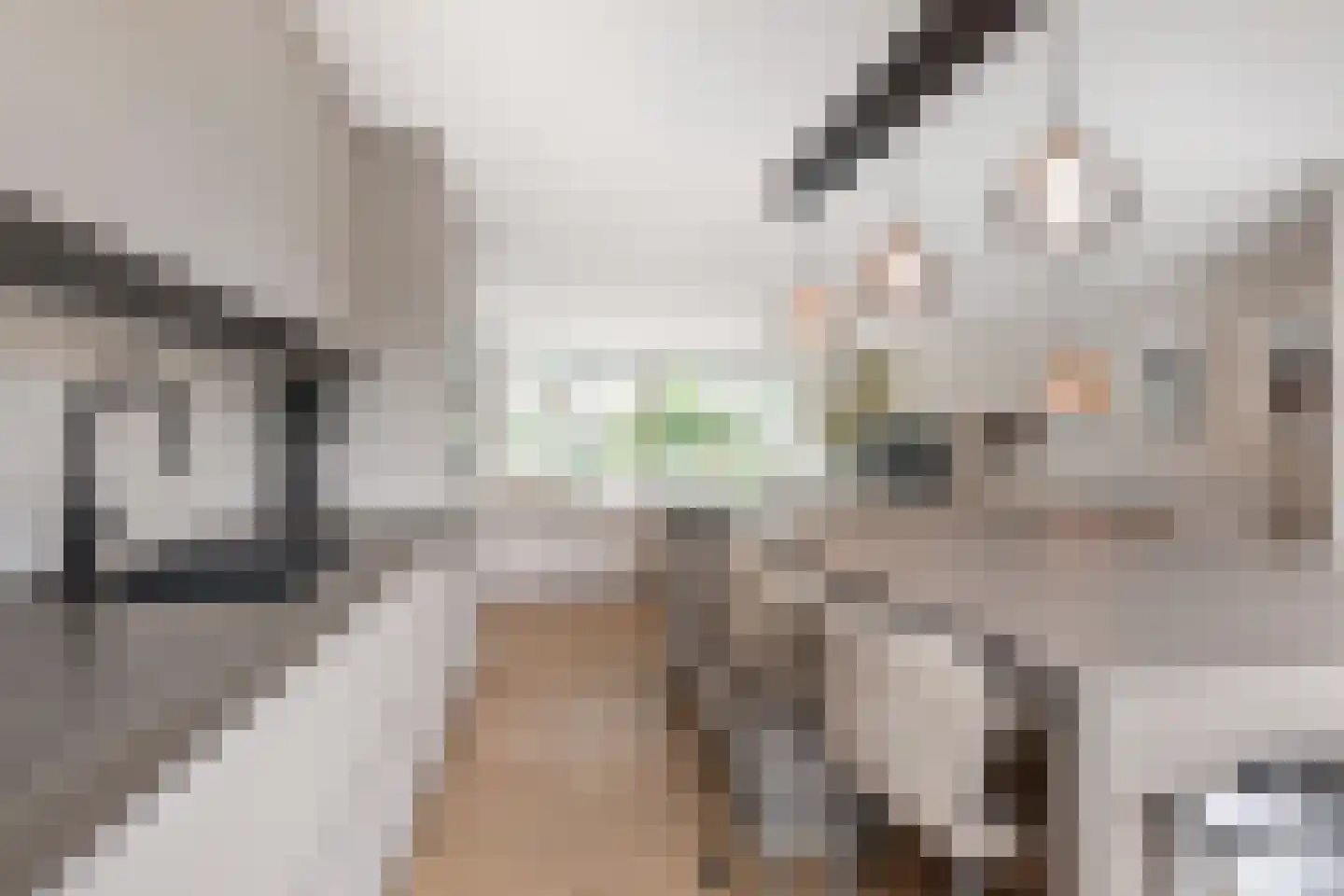Granny Smithhof 2 Zoetermeer thumbnail 29