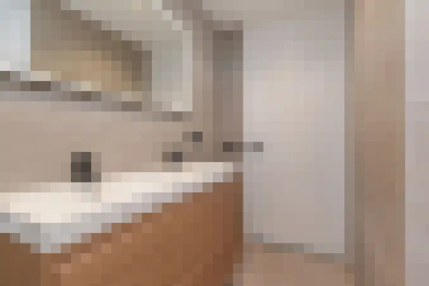 Granny Smithhof 2 Zoetermeer thumbnail 45