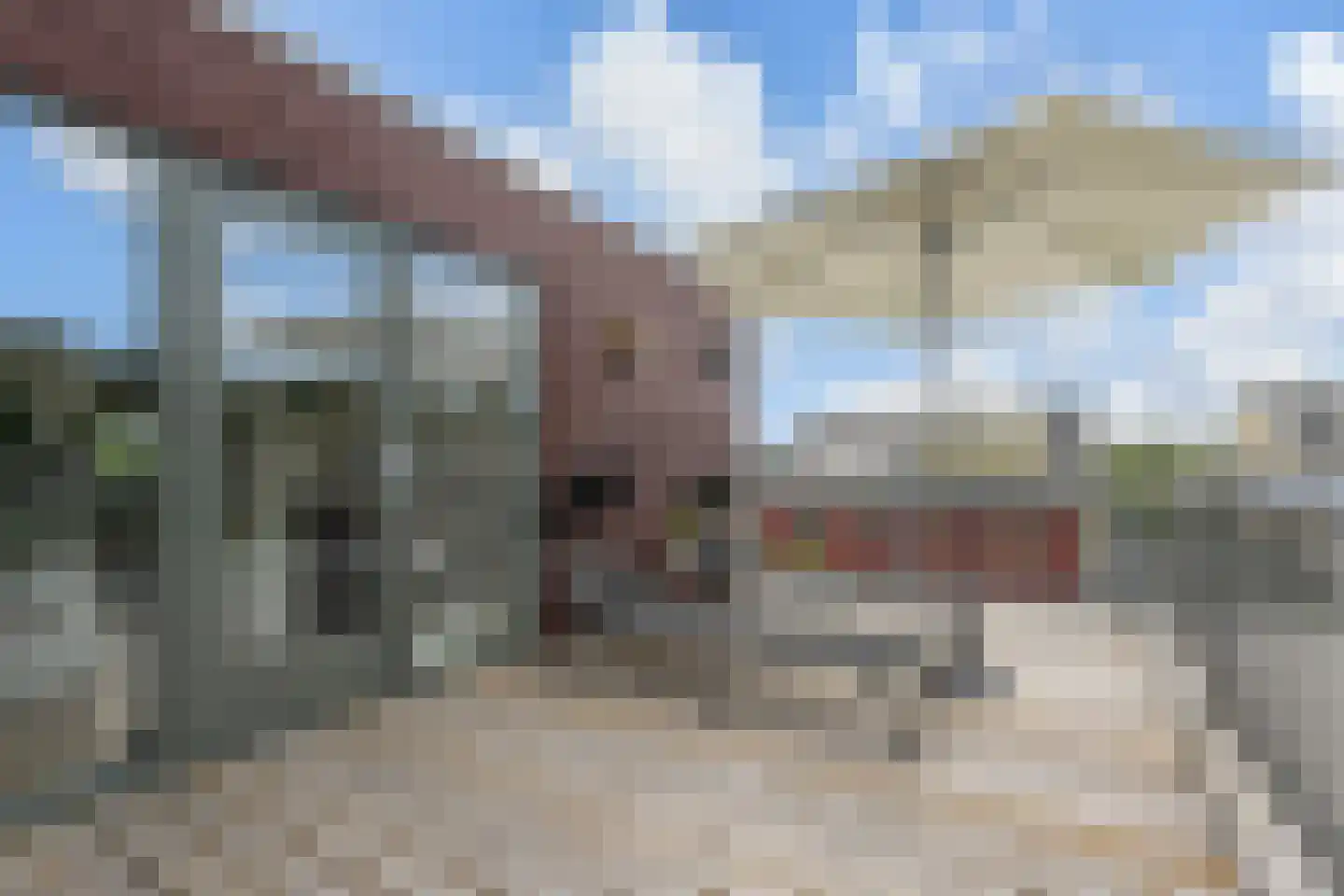 Granny Smithhof 2 Zoetermeer thumbnail 52