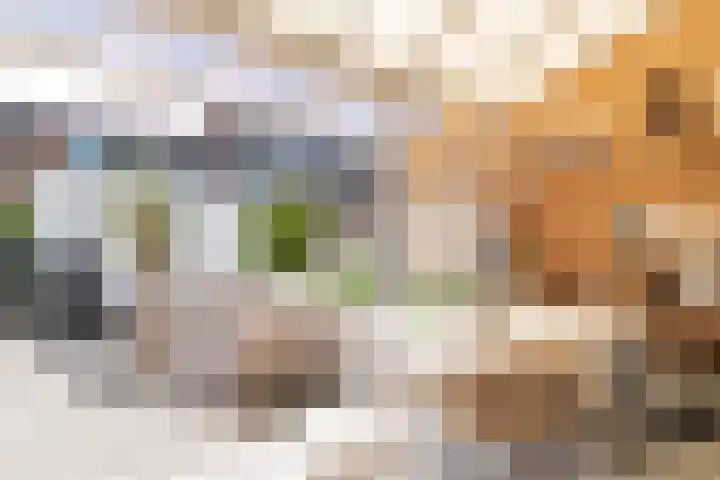 Granny Smithhof 24 Zoetermeer thumbnail 12