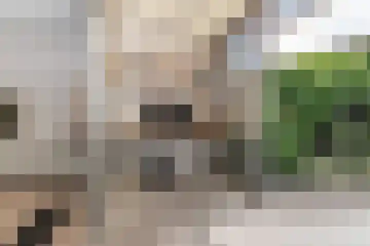 Granny Smithhof 24 Zoetermeer thumbnail 13