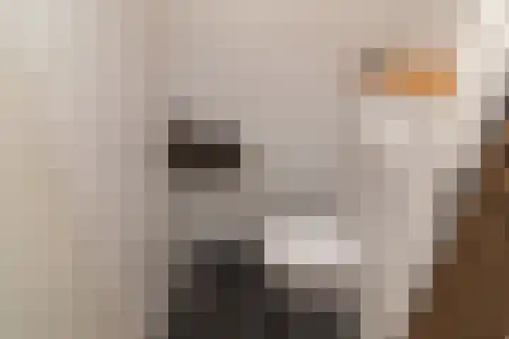 Granny Smithhof 24 Zoetermeer thumbnail 17
