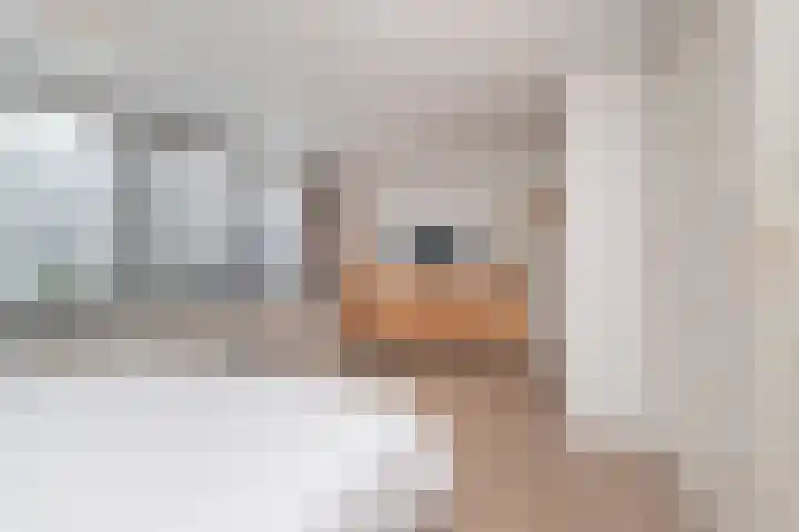Granny Smithhof 24 Zoetermeer thumbnail 22
