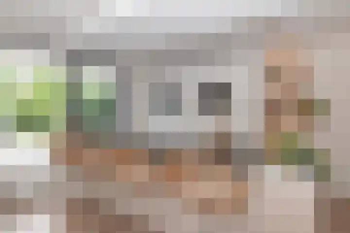 Granny Smithhof 24 Zoetermeer thumbnail 9
