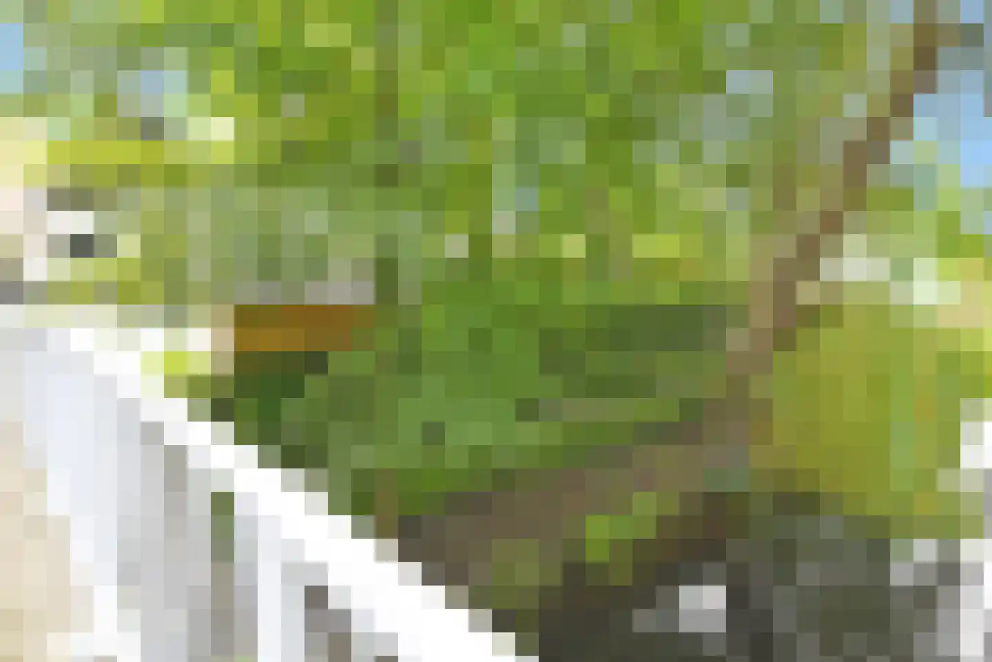 Granpré Molièrestraat 7 Amersfoort thumbnail 5