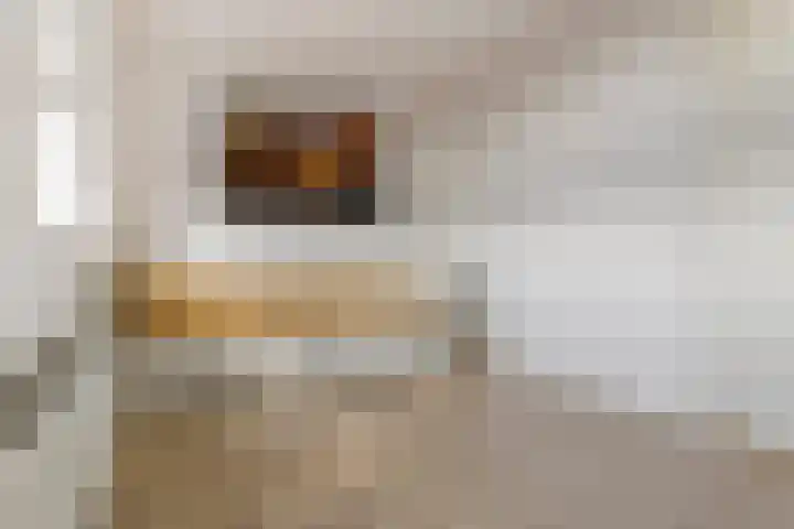 Granpré Molièreweg 32 Groningen thumbnail 35