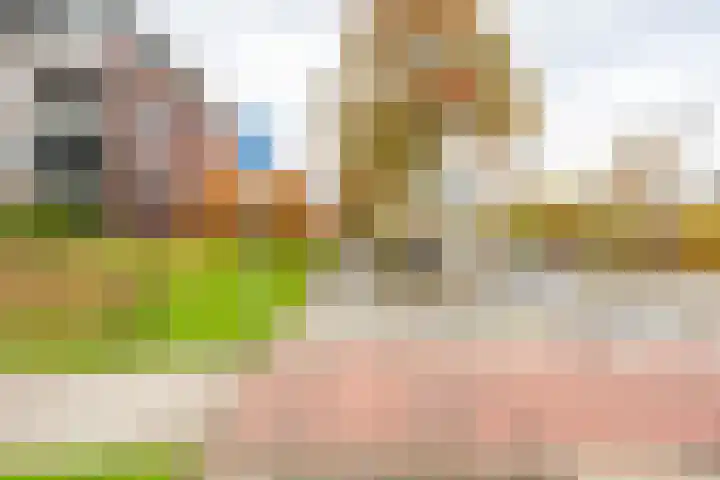 Granpré Molièreweg 52 5 Groningen thumbnail 48
