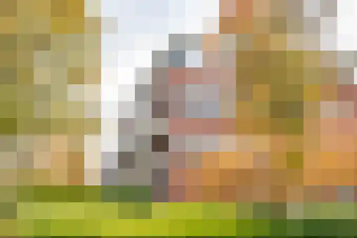 Granpré Molièreweg 52 5 Groningen thumbnail 5