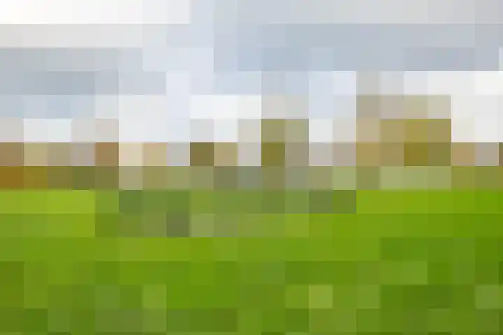 Granpré Molièreweg 52 5 Groningen thumbnail 51