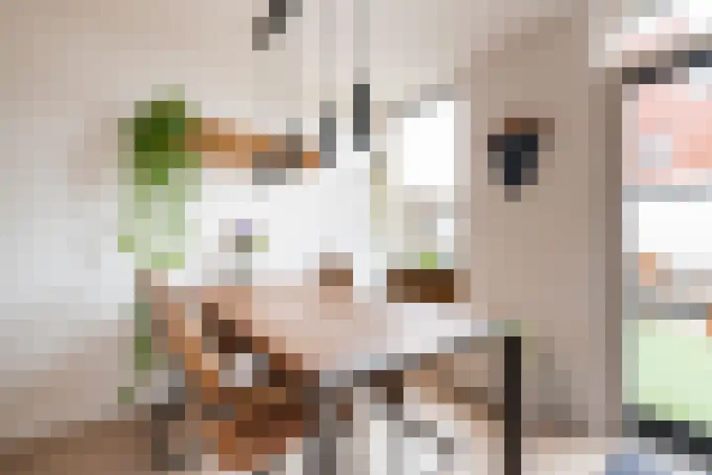 Granpré Molièreweg 6 Groningen thumbnail 22