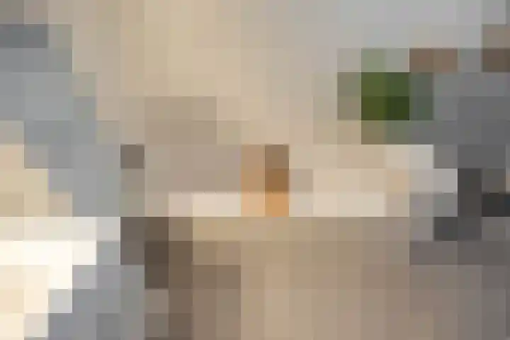 Granpré Molièreweg 62 Groningen thumbnail 31