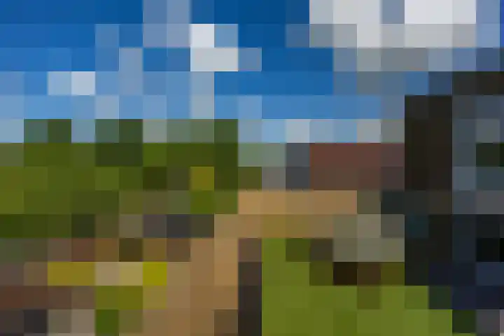 Granpré Molièreweg 62 Groningen thumbnail 39