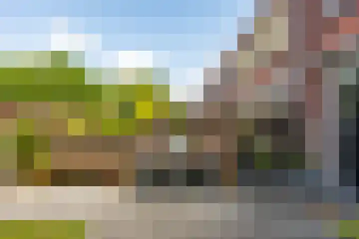 Granpré Molièreweg 62 Groningen thumbnail 4