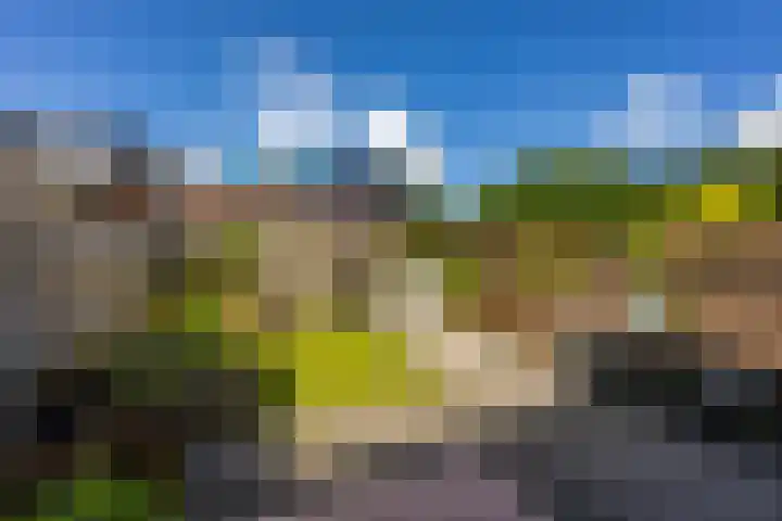 Granpré Molièreweg 62 Groningen thumbnail 42