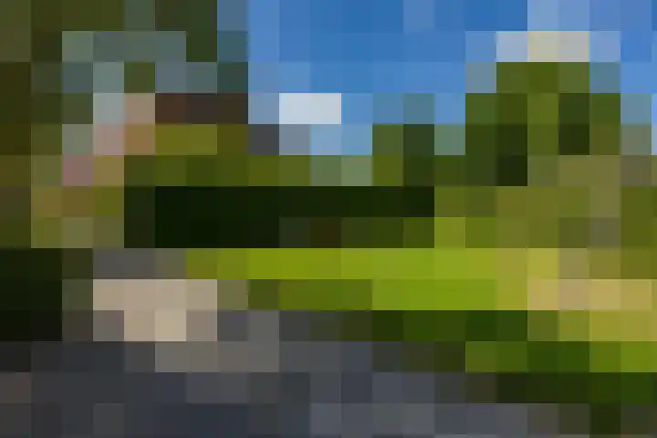 Granpré Molièreweg 62 Groningen thumbnail 45