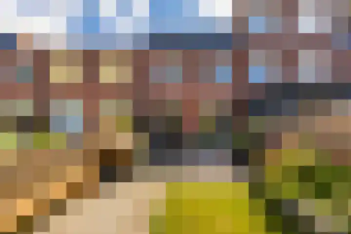 Granpré Molièreweg 62 Groningen thumbnail 5