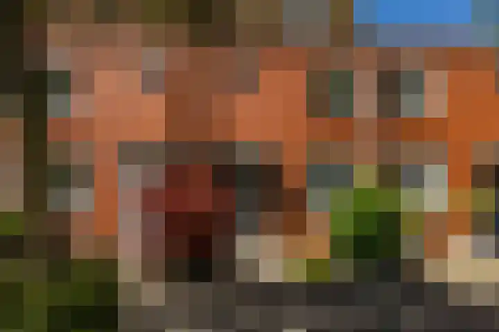 Granpré Molièreweg 62 Groningen thumbnail 7