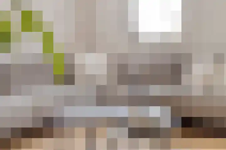 Gras 3 Ruurlo thumbnail 10