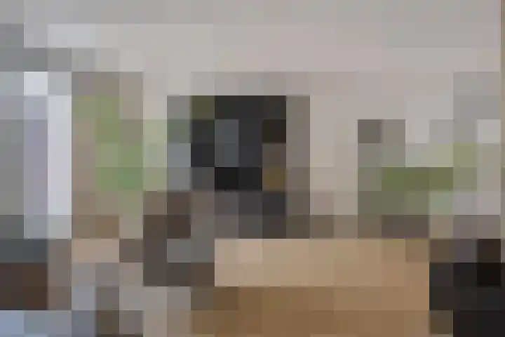 Gras 3 Ruurlo thumbnail 11