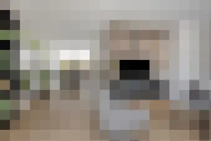 Gras 3 Ruurlo thumbnail 12