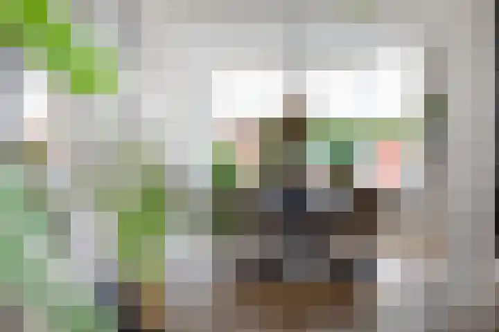 Gras 3 Ruurlo thumbnail 14