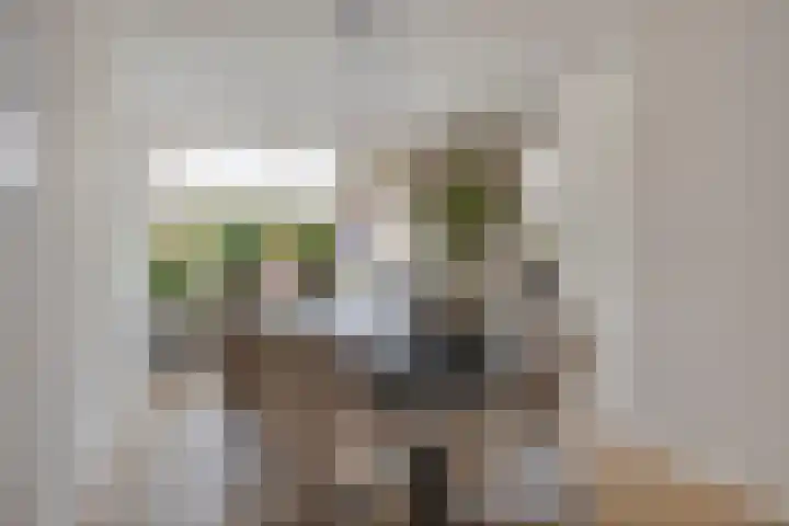 Gras 3 Ruurlo thumbnail 15