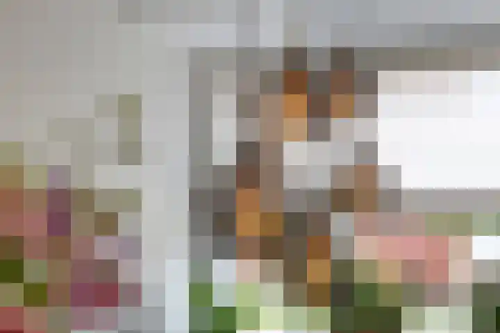 Gras 3 Ruurlo thumbnail 16