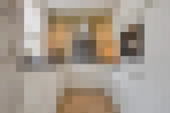 Gras 3 Ruurlo thumbnail 17