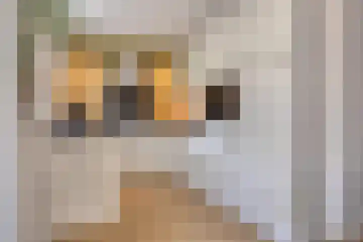 Gras 3 Ruurlo thumbnail 18